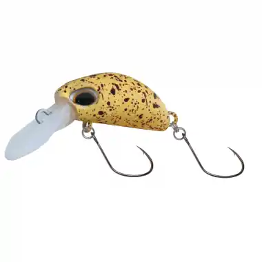 Hammerpreis - Paladin Mister Bean (schwimmend, C)